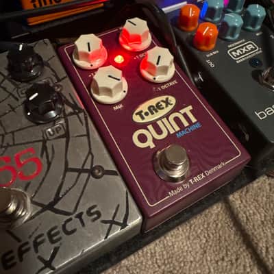 T-Rex Quint Machine | Reverb