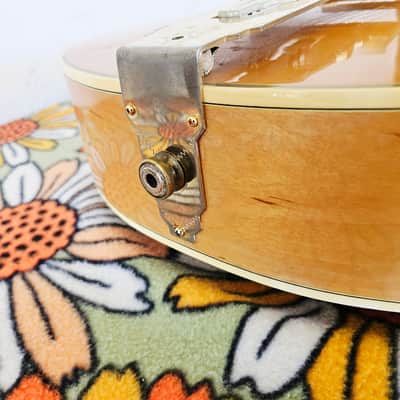 Aria Pro II PE-190 Robert Conti w Gold Seymour Duncan Jazz Humbucker Pickup image 14