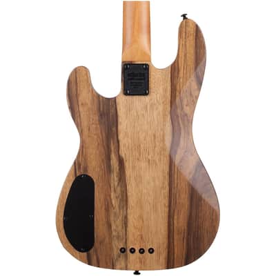 Schecter Model-T 4 Exotic Electric Bass, Black Limba image 4