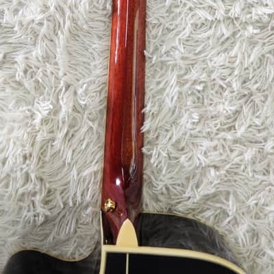 Tagima Canada Series Vancouver acoustic-electric guitar with hardshell case image 7