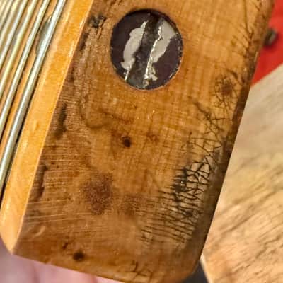 1951 Fender Nocaster Telecaster - Riggio Refin image 12