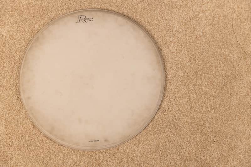 Vintage Rogers 16" Coated Script Logo Head image 1