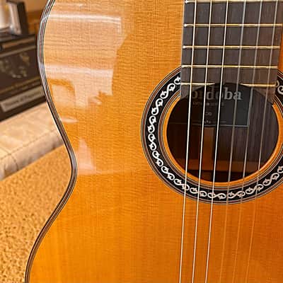 Cordoba C10 Cedar Classical Guitar – Very Good Condition, Pre-Yamaha Era (2019) image 4