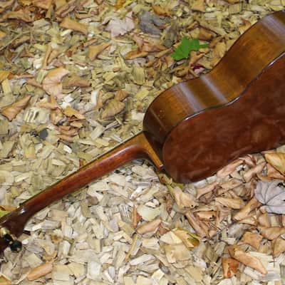 Vintage Martin 50s Tenor Ukulele image 6