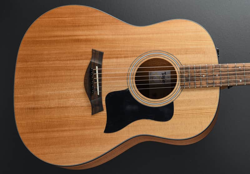 Taylor 117E imagen 1