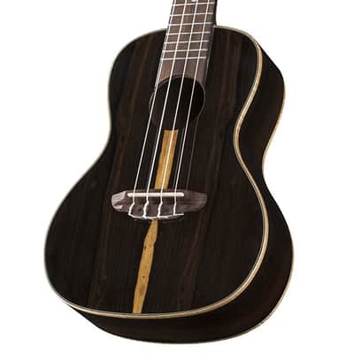 Luna Ziricote Concert Ukulele w/Gigbag image 12
