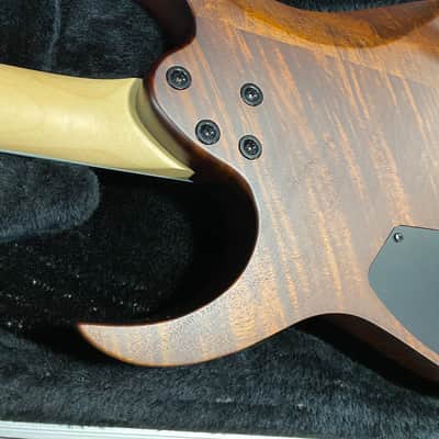 2023 Ibanez Gio GRG121DX Walnut - Figured Body image 13