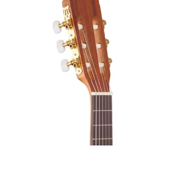 Cordoba Protege C1M Nylon Guitar One Quarter Size image 4