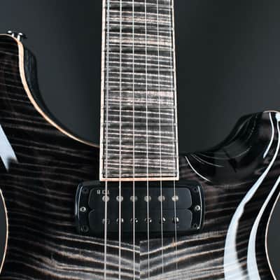 PRS Private Stock 30th Anniversary "Birds of a Feather" Hollowbody I #179 image 7
