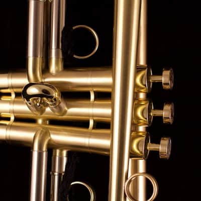 Show Demo Adams A8 Ergonomic Trumpet in Satin Lacquer image 7