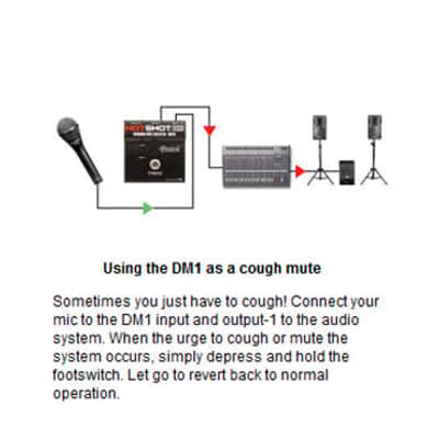 HotShot DM-1 Stage Mic Toggle Radial image 4