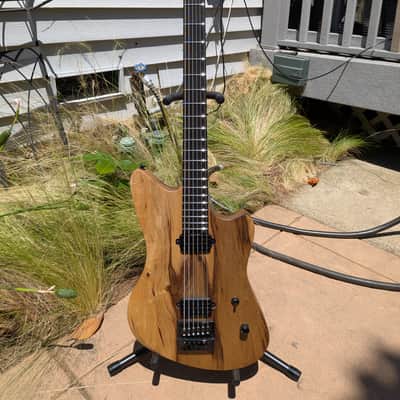 Hapas Judge 630 2025 - Natural black limba image 2