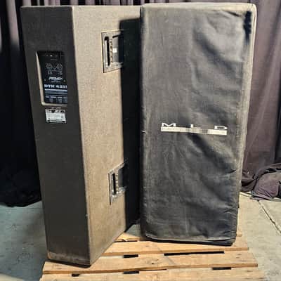 Peavey DTH 4215 Minimum-Profile Loudspeaker - Black | Reverb
