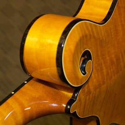 Gibson F-5 Goldrush Mandolin 2008 image 6