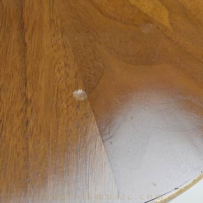 Rare 1910s Goodman Nulli Secundas 5-String Banjo image 15