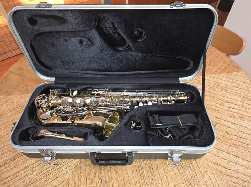 Selmer SAS301 Student Premium Alto Saxophone 2021 - Present - Lacquered Brass image 1