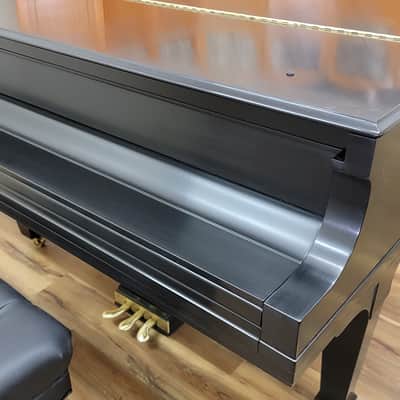 Steinway & Sons Concert Grand Piano image 13
