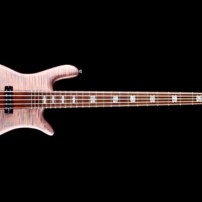 Spector Euro 5 RST 2024 - Roasted Sundown Glow image 2