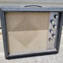 Silvertone 1482 amp  1965 year  freshly serviced and ready to ROCK!
