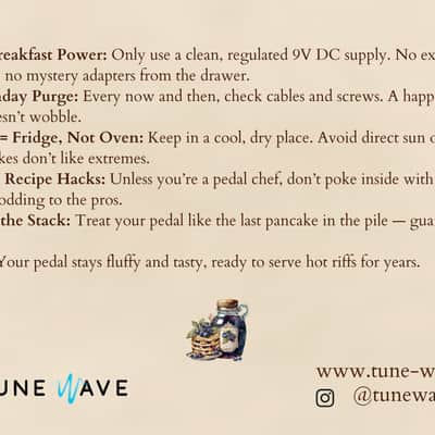 TuneWave Hotter Pancakes DIY Pedal Kit – Lite Bite image 9