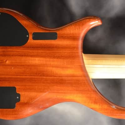 Alembic Custom CLB5 Fretless 5 String With LEDs image 3