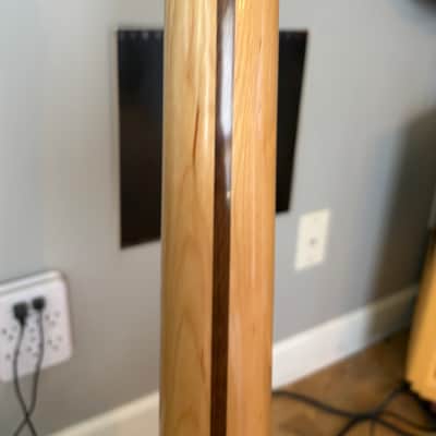 Fender American Standard Telecaster with mods image 13