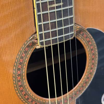 Epiphone FT-150 Bard 1972 - 1979 - Natural image 8