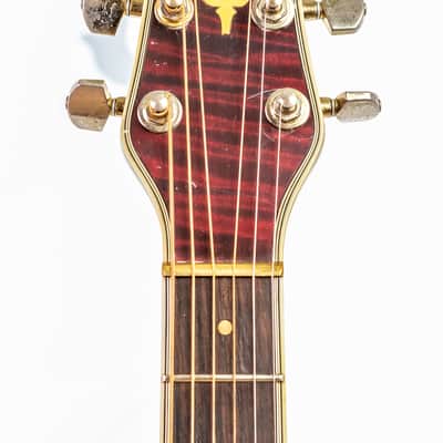 Daion The Year Series '81 Caribou - Wine Red (WR) - Electric Acoustic Six String image 17