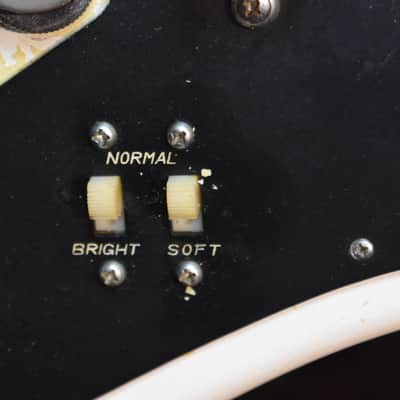 Guyatone Telstar LG-160T 1965 image 9