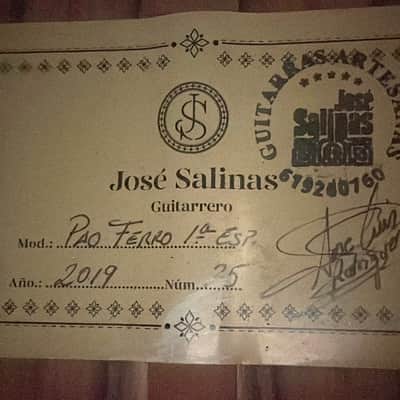 Jose Salinas 2019 "Negra" Flamenco Guitar - Exceptionally good sounding Guitar – Powerful & Expressive - Check Video! image 19