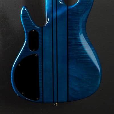 Peavey TL Five 5 String Bass 2008 image 4