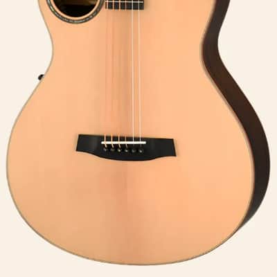 Walden B103E Baritone Solid Sitka top/Ovangkol Grand Auditorium Baritone-Electric Satin Natural w/Case image 1