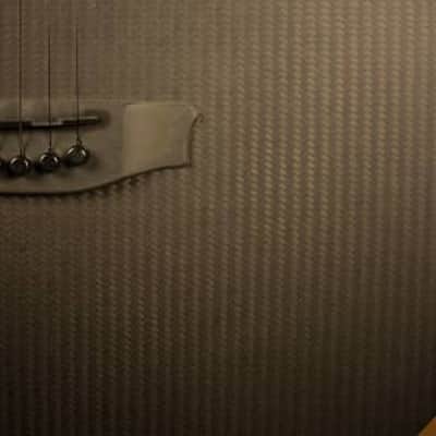 RainSong Smokey SMH Carbon Fiber Acoustic Guitar image 4