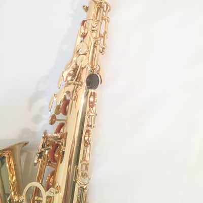 Musikwerks-Gold Lacquer Alto Saxophone-Semi Pro Level-High F#-New-Shop Warranty! image 6