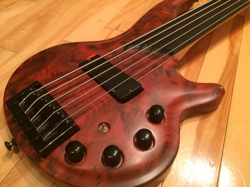 Cort Curbow 5 String Fretless Bass Guitar image 1