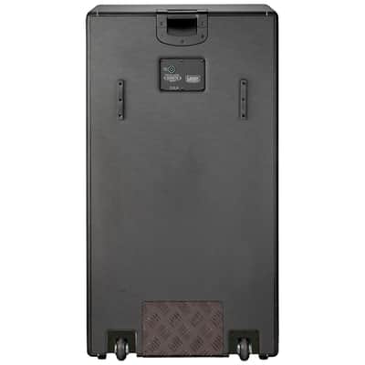 DBV810-4 Digbeth Series Laney image 3
