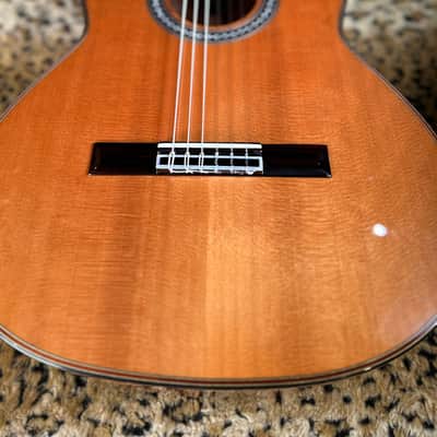 Cordoba C9 Nylon String Acoustic Guitar Natural image 1