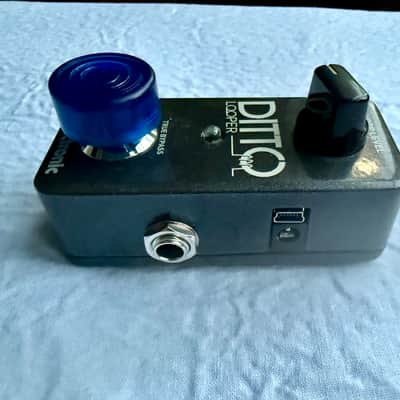 TC Electronic Ditto Looper Guitar Effects Pedal | True Bypass | Blue Footswitch Topper image 3
