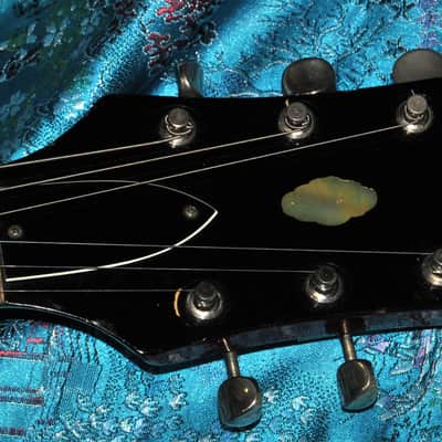 Epiphone Professional EA-7P Outfit 1963 image 7