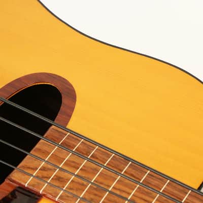 1980 EKO BA/4 Acoustic Fretless Bass Guitar Vintage Hofner Hagstrom image 9