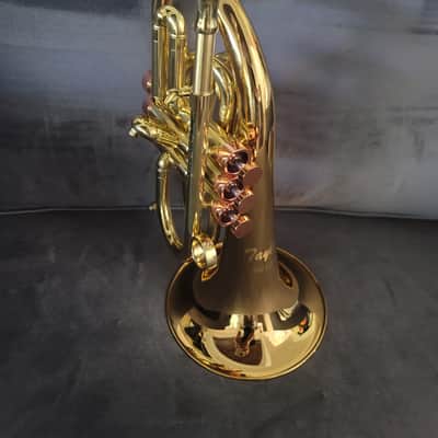 Carol Brass Compact Flugelhorn / Taylor Phat Puppy 2023 - Polished / Lacquered image 10