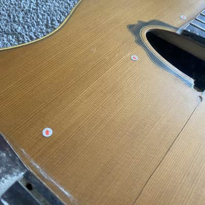 Eko 39 Inch Classical Guitar Project, Spruce Top, Rosewood Body, Mahogany Neck image 8