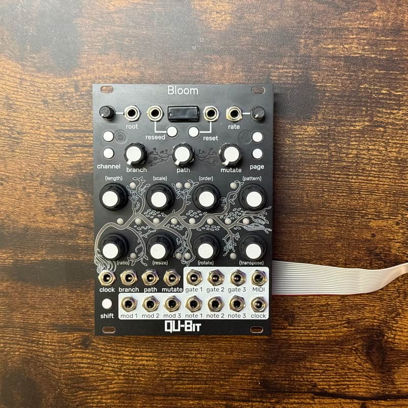 Qu-Bit Electronix Bloom V2