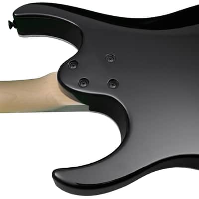 Palm Bay Guitars - Avalanche AXX2 in Black + case image 3