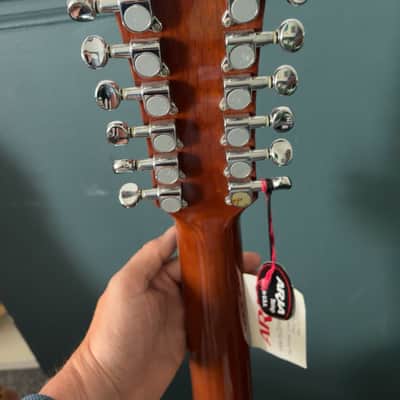 Aria 12 string Dreadnought AW 20 - T - N image 13