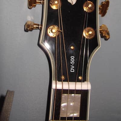 Devlin DV500 Archtop image 4