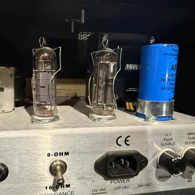 65 Amps Lil Elvis 2009 image 6