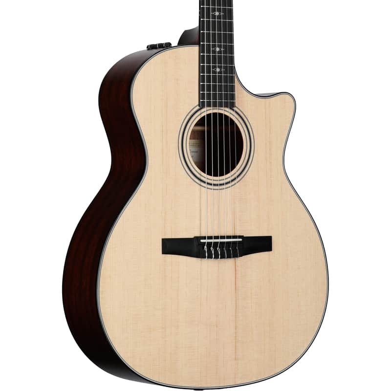 Taylor 314ce-N Grand Auditorium Classical Acoustic-Electric Guitar, with Case image 1