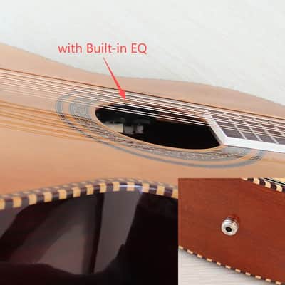 Handmade Custom 10 String Acoustic Electric Guitar, Solid Spruce Top Body, Mahogany Neck - Wood Color image 6