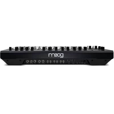 Moog Messenger | Monophonic Analog Synth with Ladder Filter, 32-Key Aftertouch & 64-Step Sequencer image 3